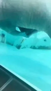 这倒是提醒我了 #内涵                   ⠀