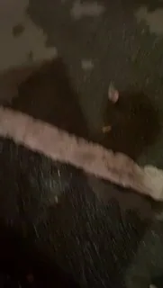 何必开房？深夜街头直接湿透，真够放荡