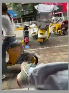 这谁家的小野狗？