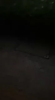 🇻🇳 昨晚越南胡志明 9郡 BS9 公寓深夜现大量警察！  旁边的中国超市也有很多，兄弟们注意，越南不是好地方啊，出门在外多注意安全信息。