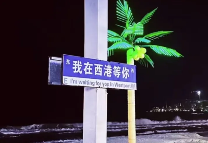 #群友投稿:这一年,东南亚的风终究还是停了。 图片 1