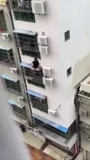 这是忘记带钥匙了，爬窗户回家？ #爬楼 #坠楼 #作死 集美