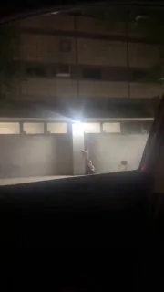 吃屁眼吗？