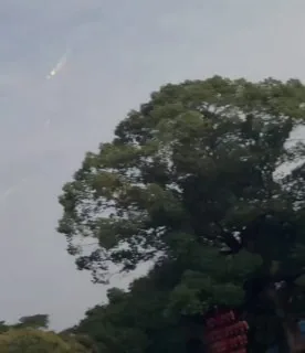 车里坐这个武则天啊🍃