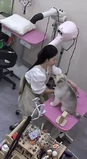 好女不养狗
