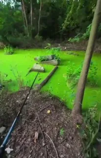 🫧🫧🫧：你知道我在这里等你多久了吗？